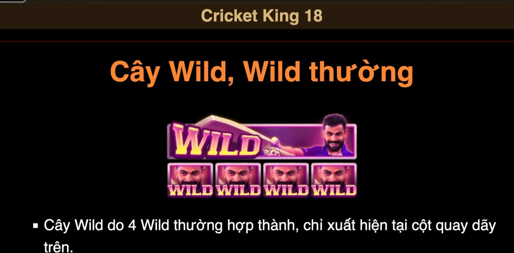 Giới Thiệu Game JILI Cricket King 18 Tin tức mới nhất, chỉ có tại 911win